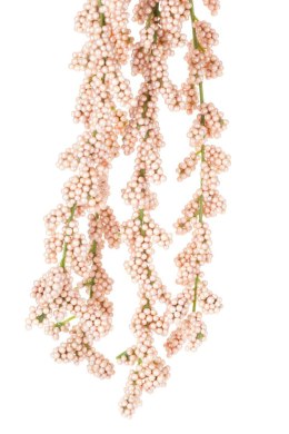 Roślina sztuczna-gałązka pendula_Aluro
