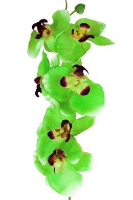 Sztuczna roślina storczyk zielony