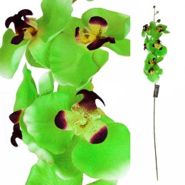 Sztuczna roślina storczyk zielony