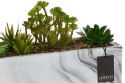 Dekoracja ogródek ze sztucznymi kaktusami
