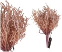 Roślina sztuczna rafa koralowa różowa