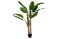Roślina sztuczna Bananowiec w doniczce 138 cm