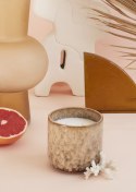 Ceramiczna świeca zapachowa: Casa Fruits mango & grapefruit