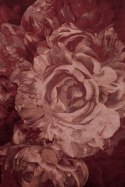 Dywan róże vintage STITCHY ROSES 170X240