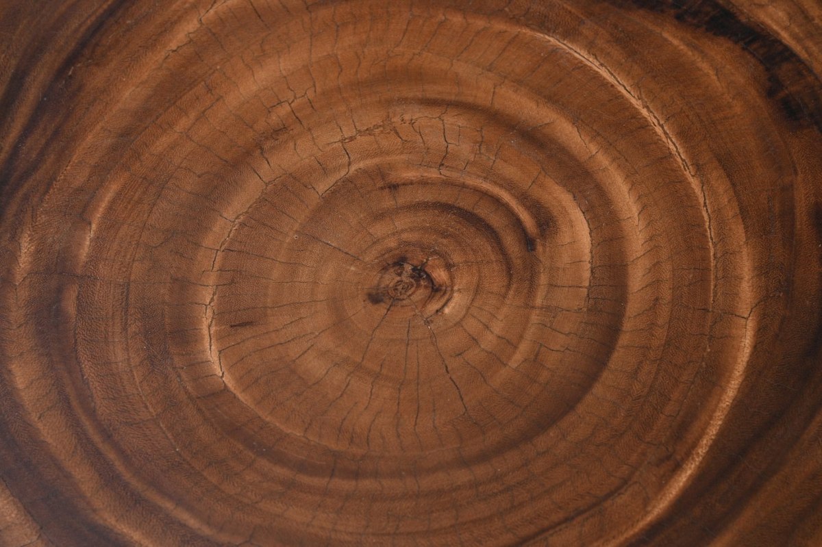 Stolik kawowy słój drewna okrągły Natural Secret